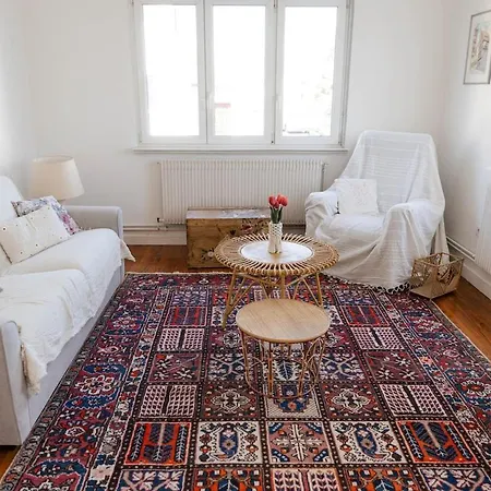 Le Pre Douillet, 2 Cosy A 10 Min De Strasbourg *